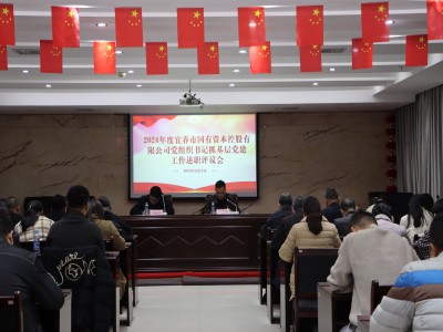 宜春國(guó)控公司召開2024年度黨組織書記抓基層黨建工作述職評(píng)議會(huì)